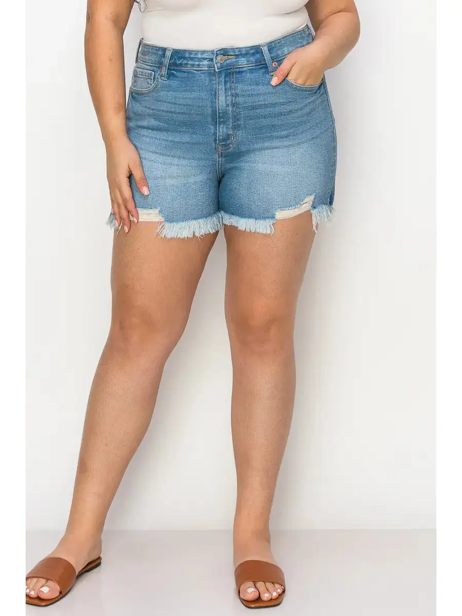 High Rise Mid Rise Frayed Hem Denim Shorts