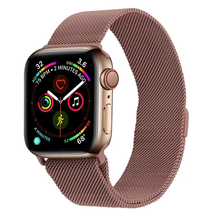 Day-To-Day Milanese Stainless Steel Mesh Watch Replacement Band