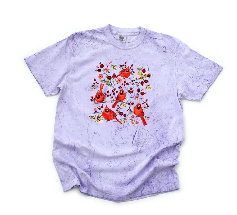 Songbird Graphic Garment Dyed Tee