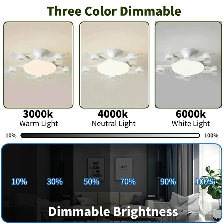 Warm neutral and white dimmable light