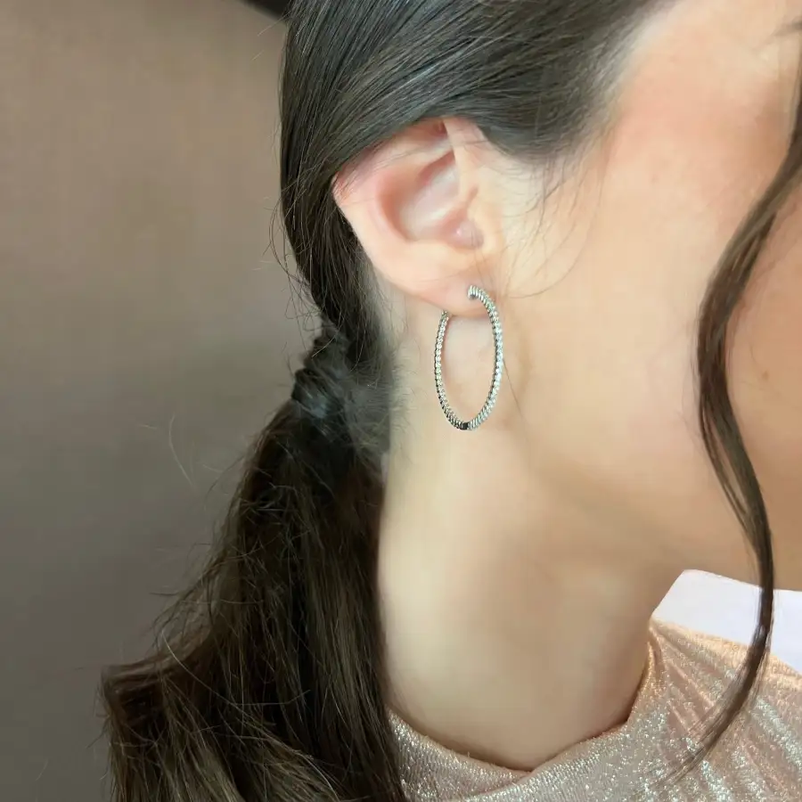 Delicate Curved Gem Detail Hoop Earrings