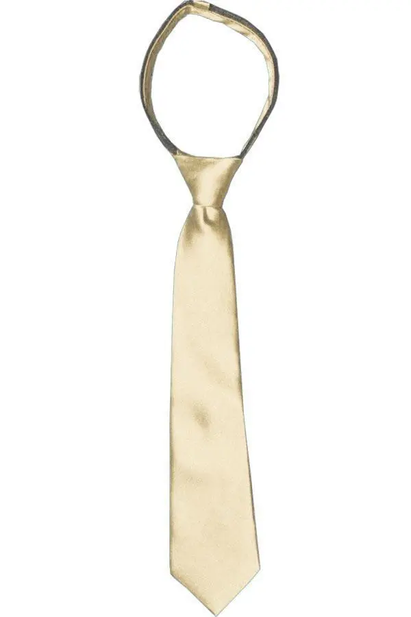 Sophisticated Solid Boys' Zipper Tie