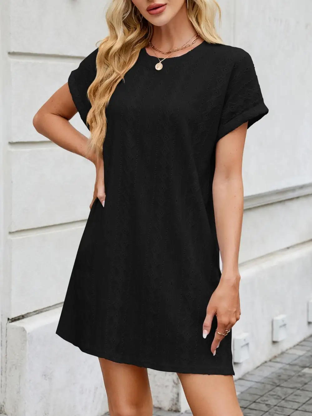 Eyelet Round Neck Mini Dress
