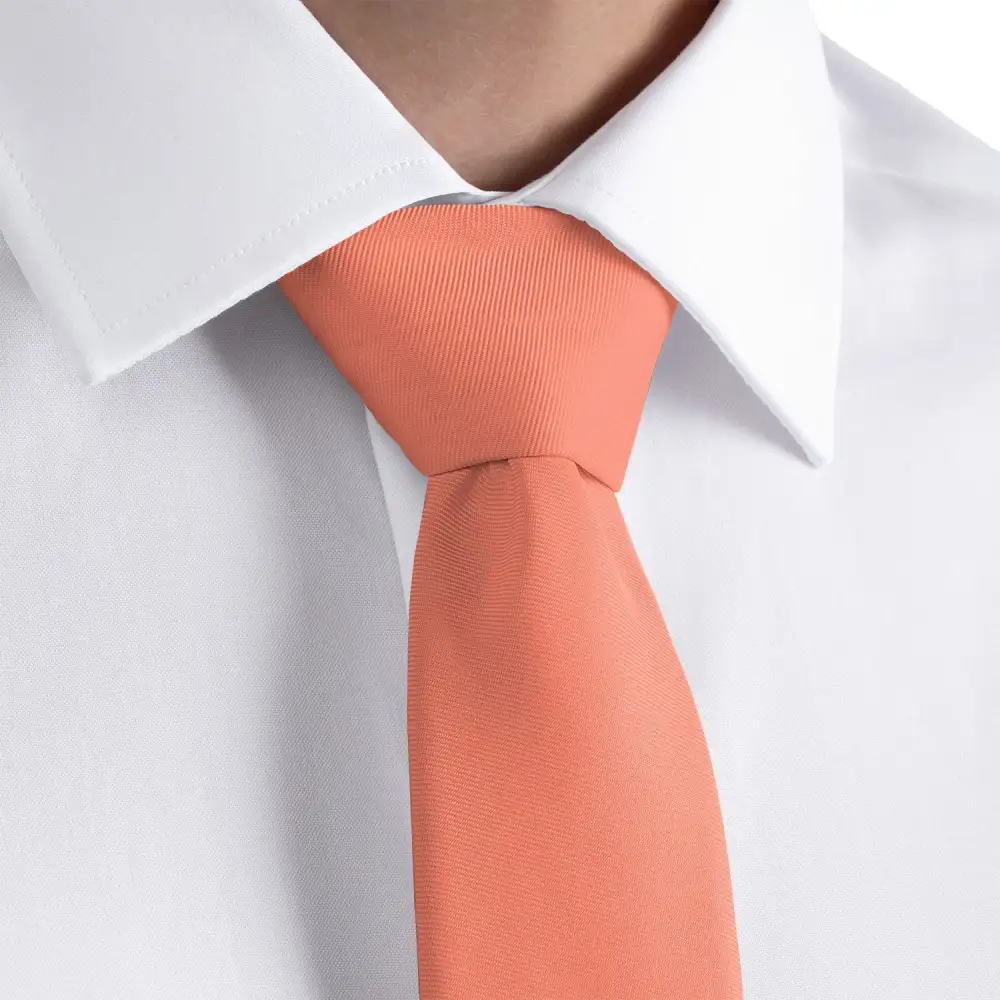 Elegant Solid Accent Necktie