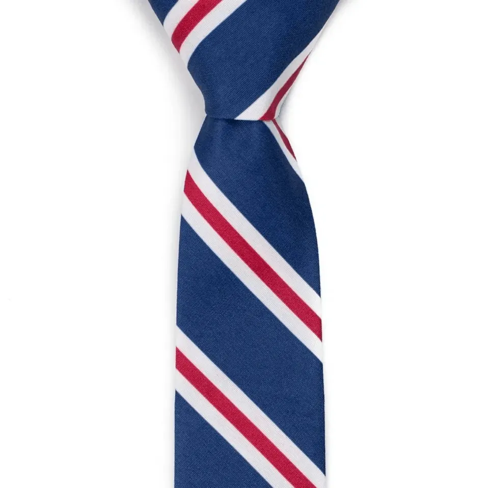 Polished Striped Pattern Necktie