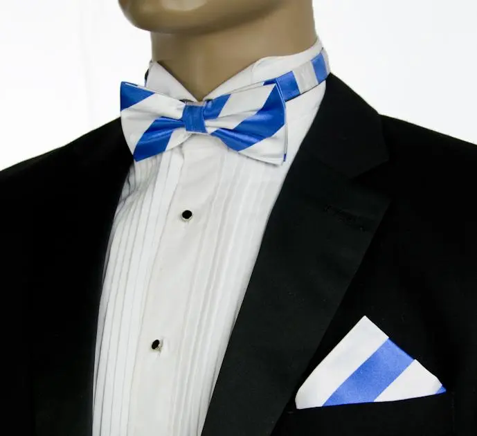 Versatile Silk Bow Tie