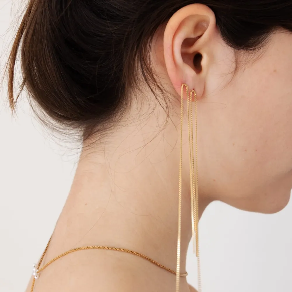 Fringe Cubic Earrings