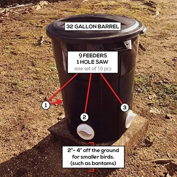(🔥2026 Spring Hot Sale) DIY Chicken Feeder