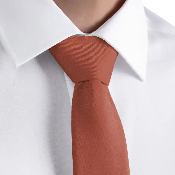 Versatile Solid Theme Necktie