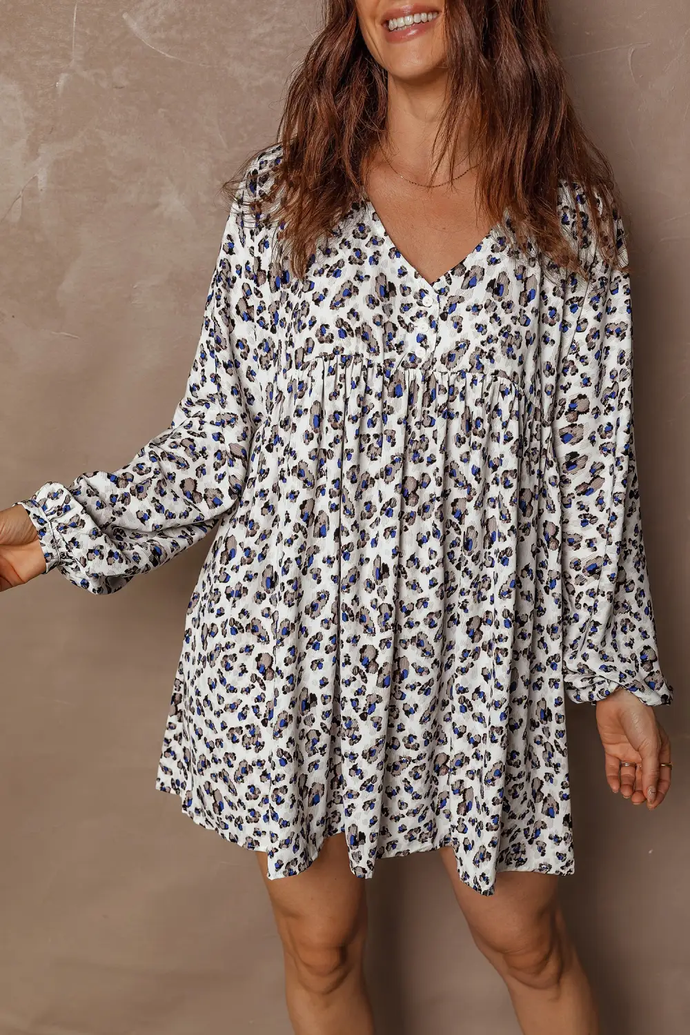 Animal Print V Neck Long Sleeve Mini Dress