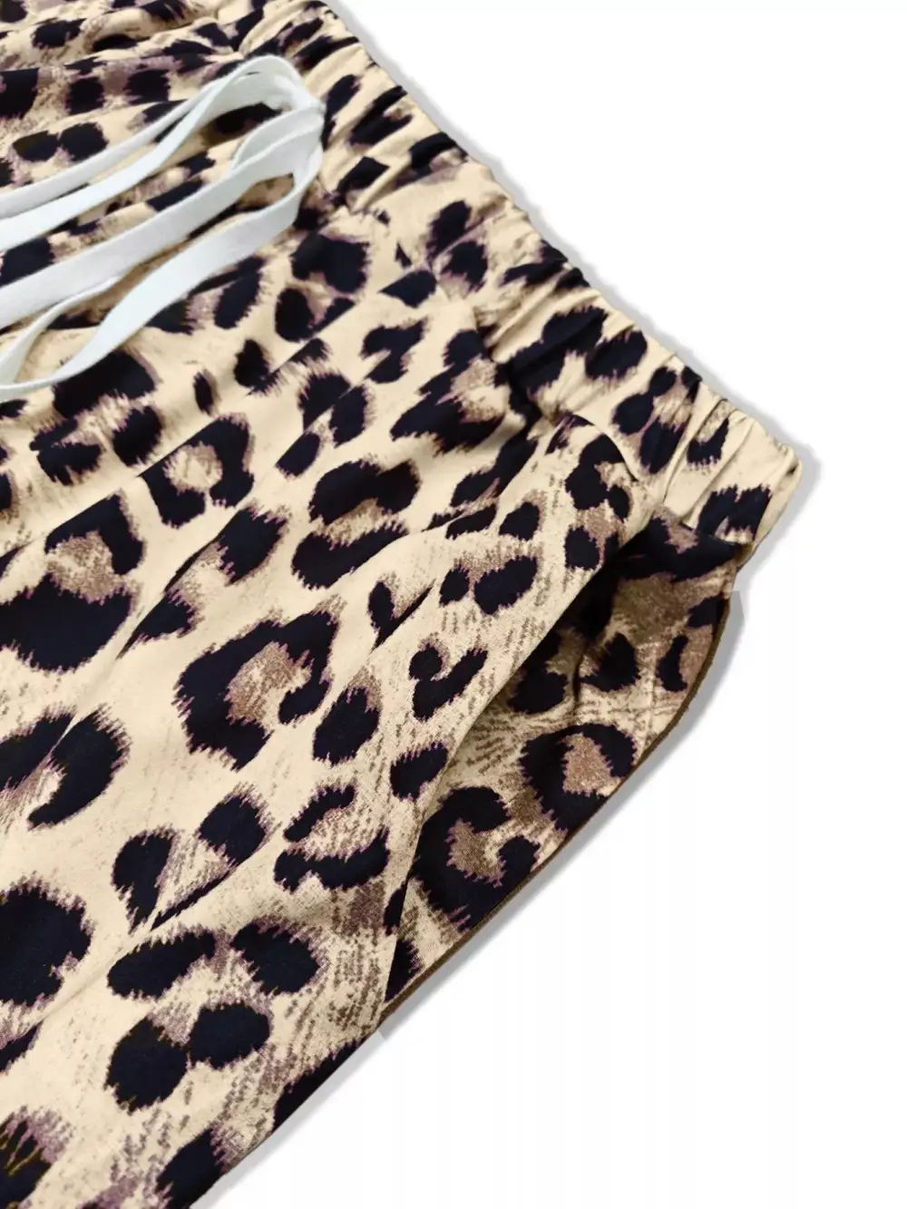 Leopard Print Long Sleeve Top and Pants Set