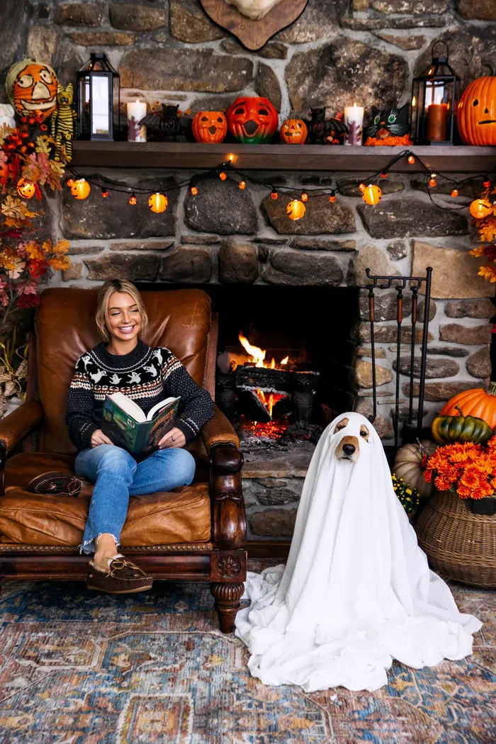 Women's Casual Round Neck Jacquard Sweater/Cardigan🎃Fitted Knit Pullover for Fall & Winter