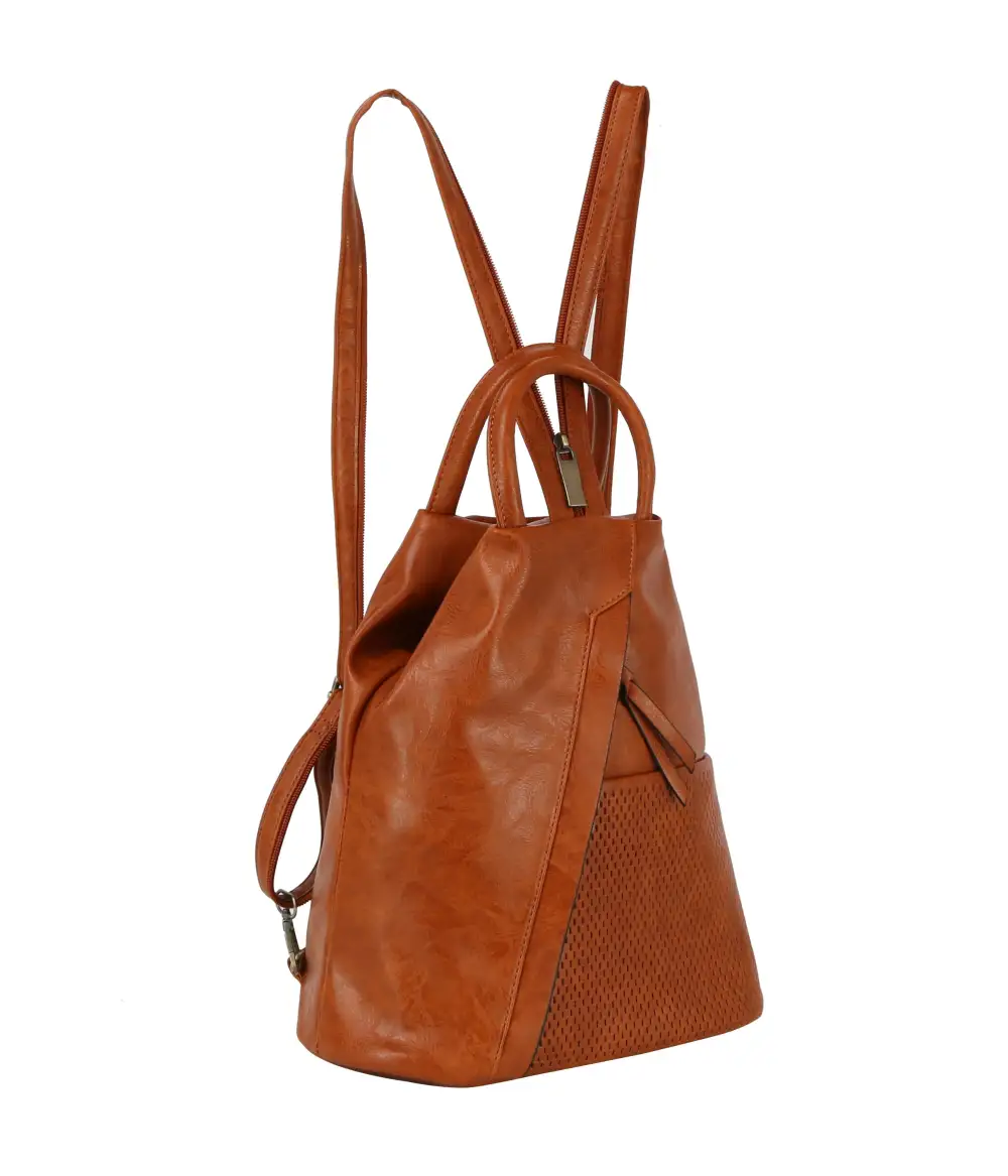 Convertible Dual Strap Backpack