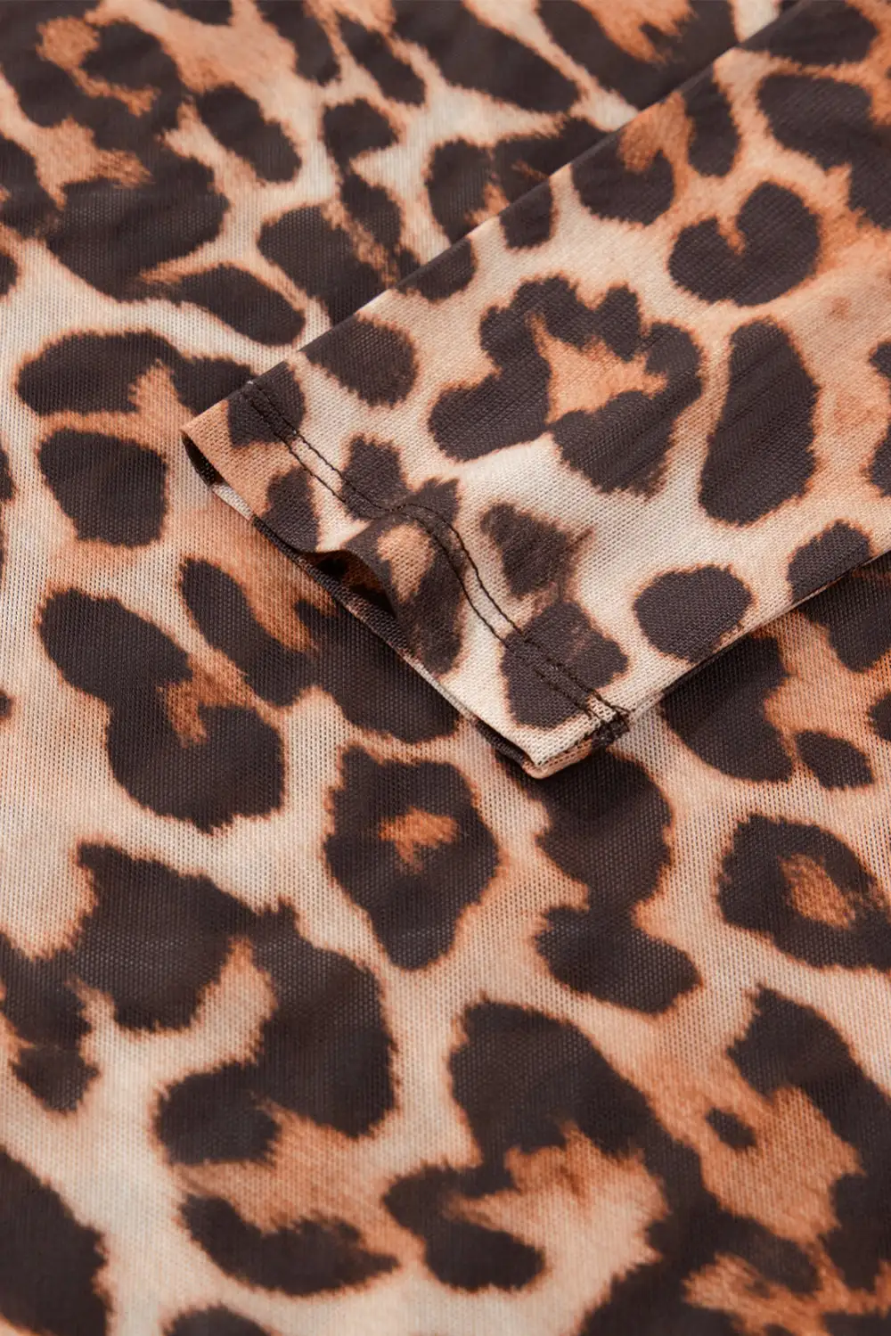 Leopard Print Mesh Long Sleeve Top