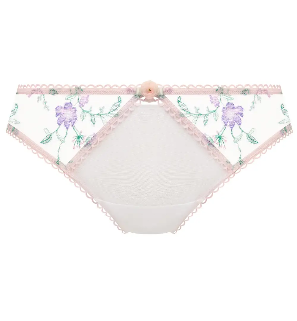 Classic Low-Rise Mesh Floral Full-Coverage Brief Panty