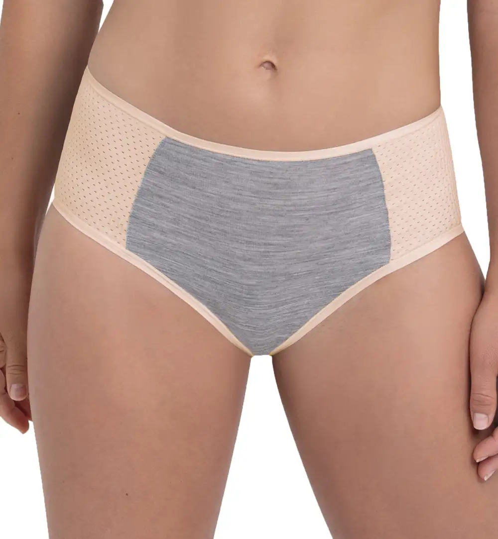 Classic Mid-Rise Mesh Cotton Full-Coverage Brief Panty