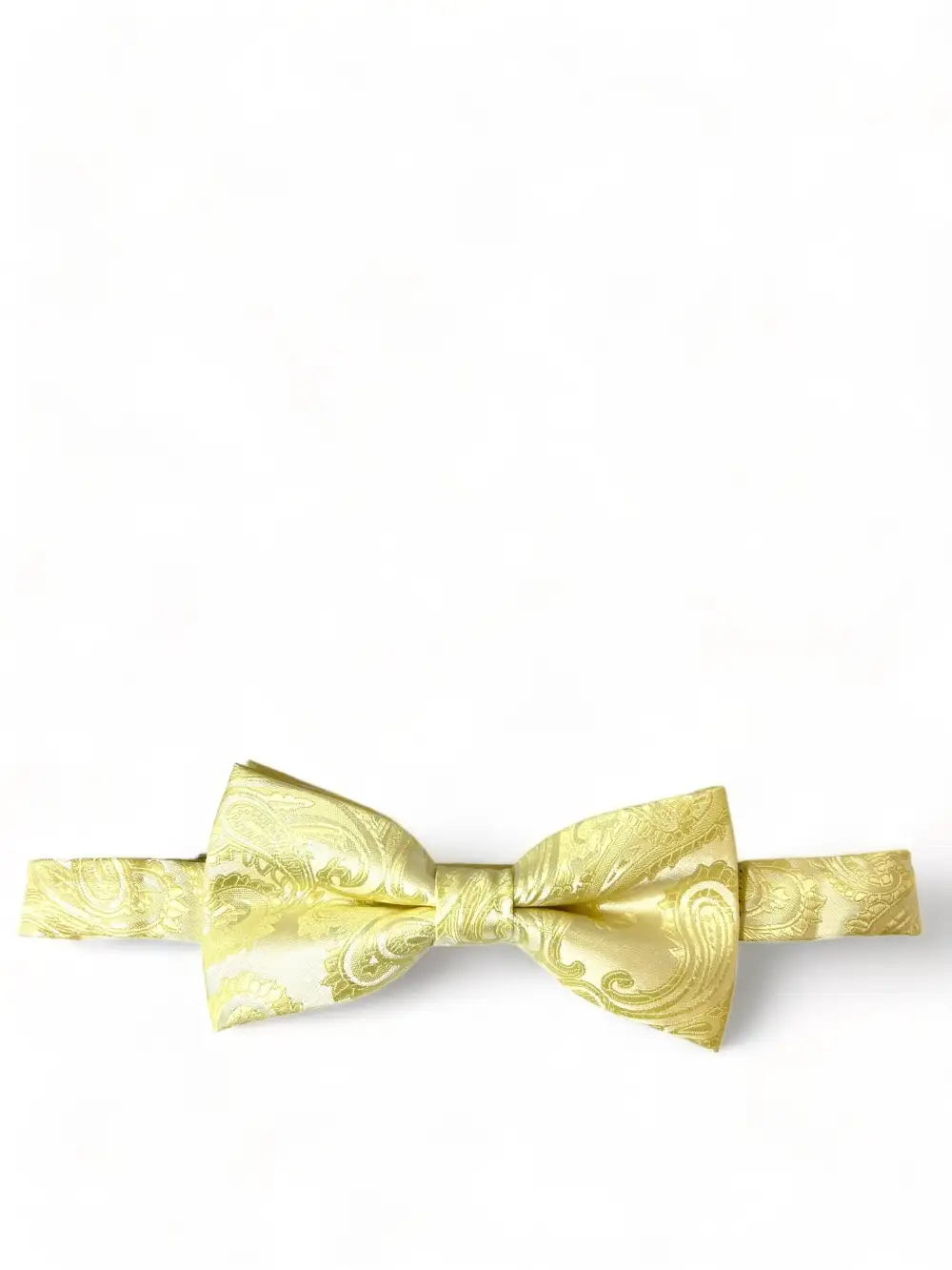 Dapper Gentleman Paisley Polyester Bow Tie