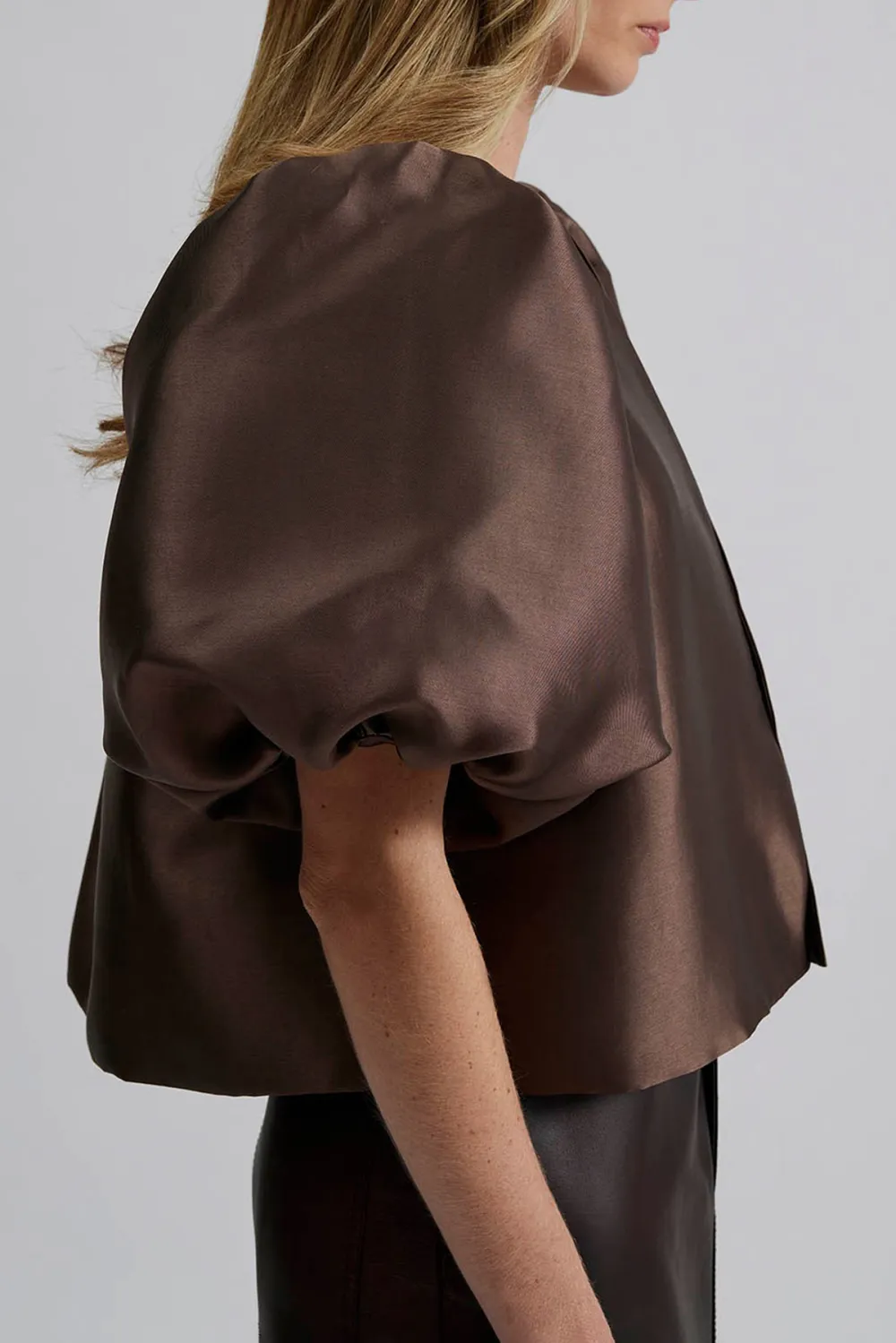 Puff Sleeve Scarf Neck Blouse