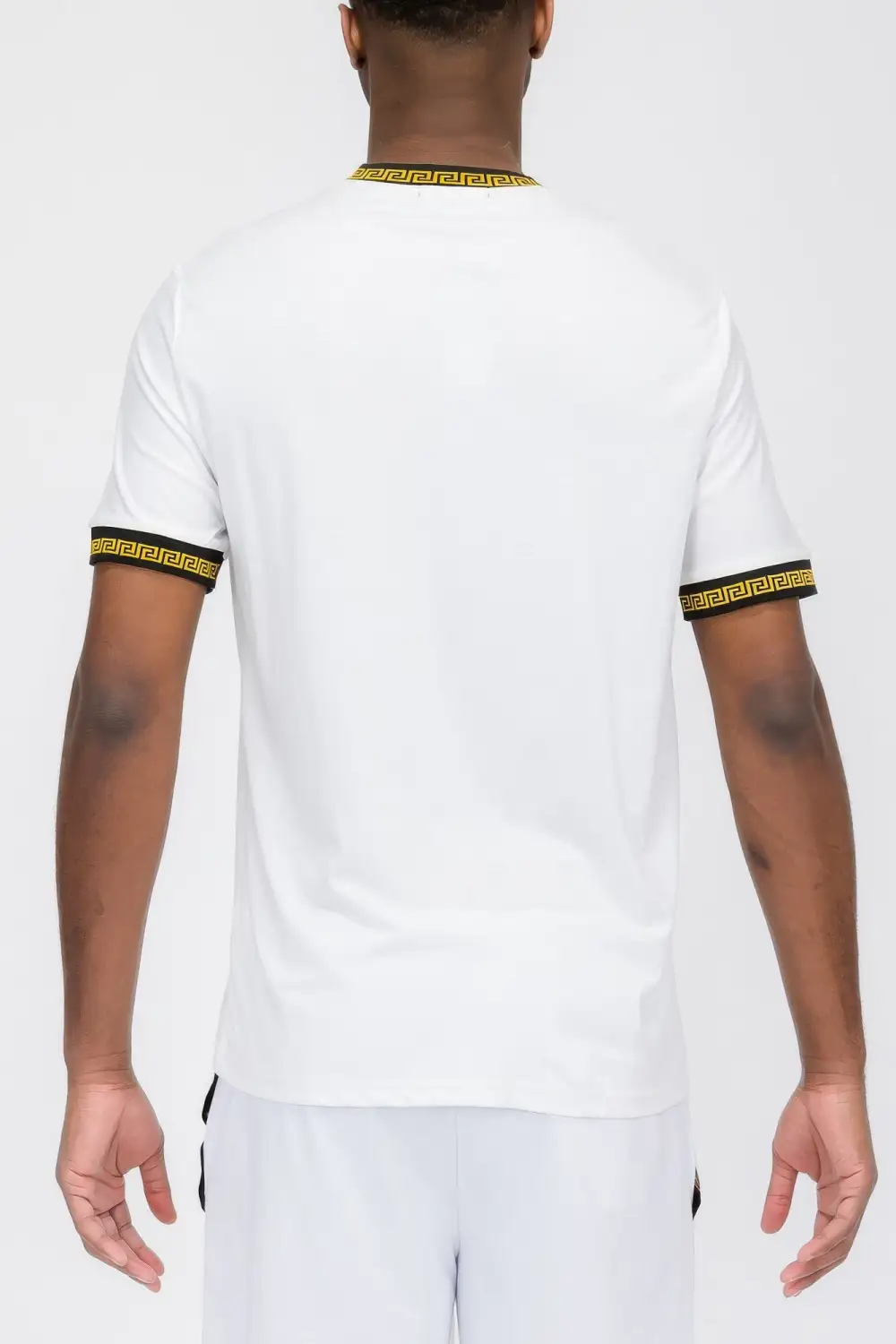 Lion Embroidery T-Shirt