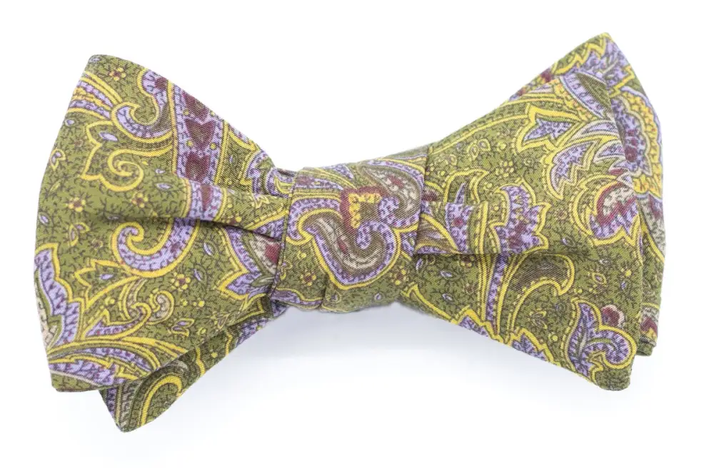 Contemporary Seasonal Paisley Bow Tie