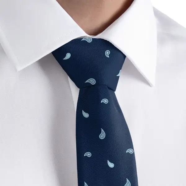 Polished Paisley Motif Necktie