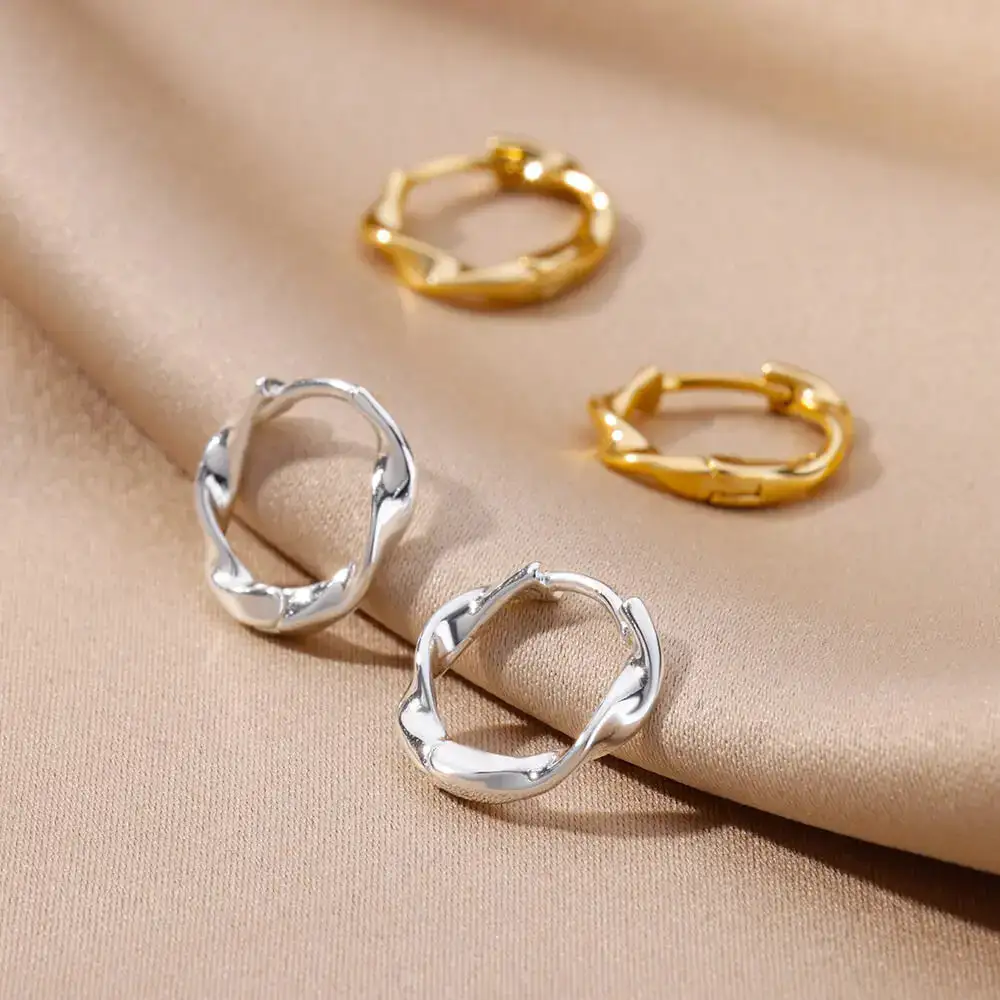 Stainless Steel Hoop Hoop Earrings