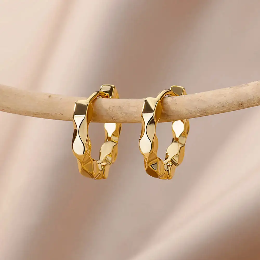 Stainless Steel Hoop Hoop Earrings