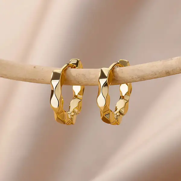 Stainless Steel Hoop Hoop Earrings