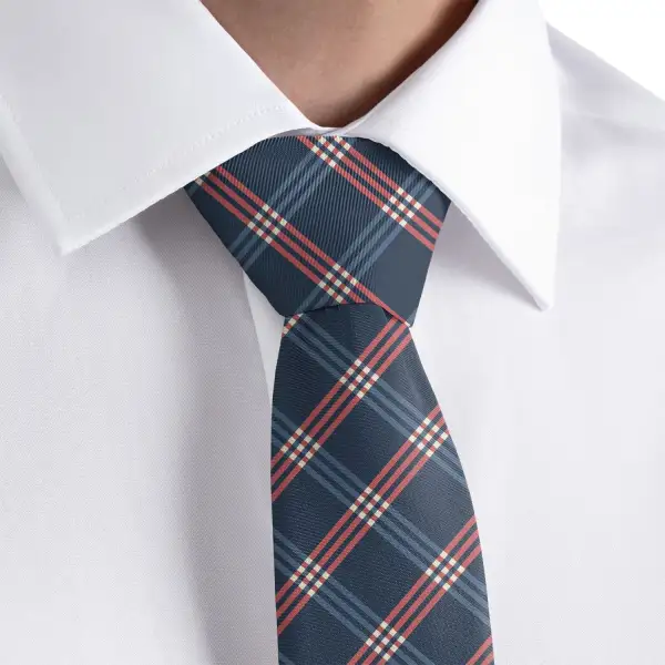Modern Plaid Pattern Necktie