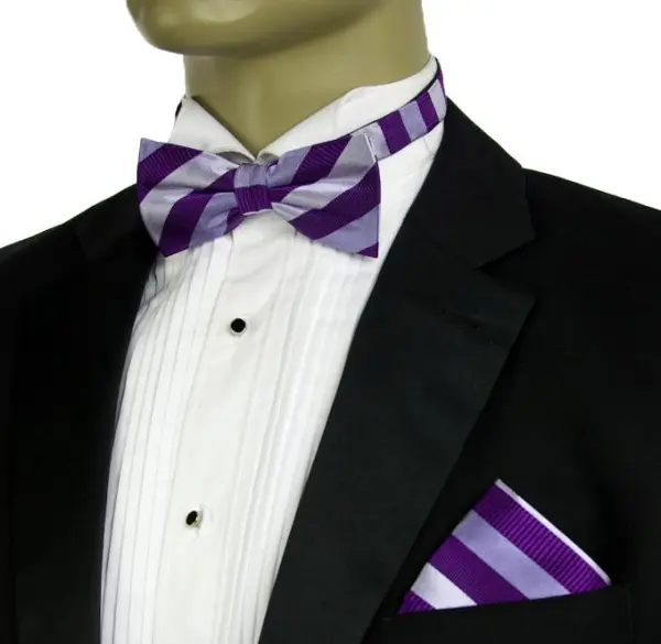 Polished Striped Silk Bow Tie Set