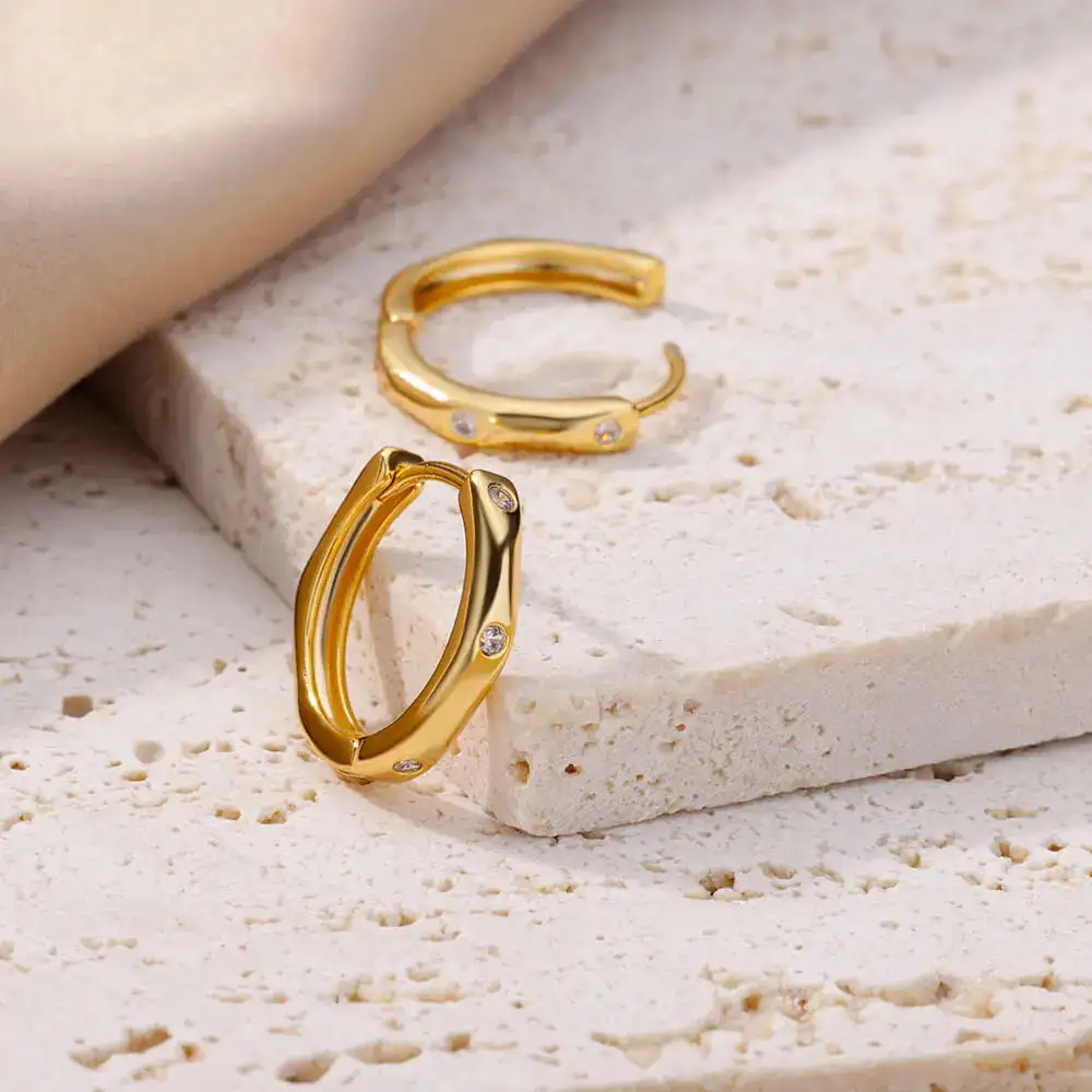 Stainless Steel Hoop Hoop Earrings