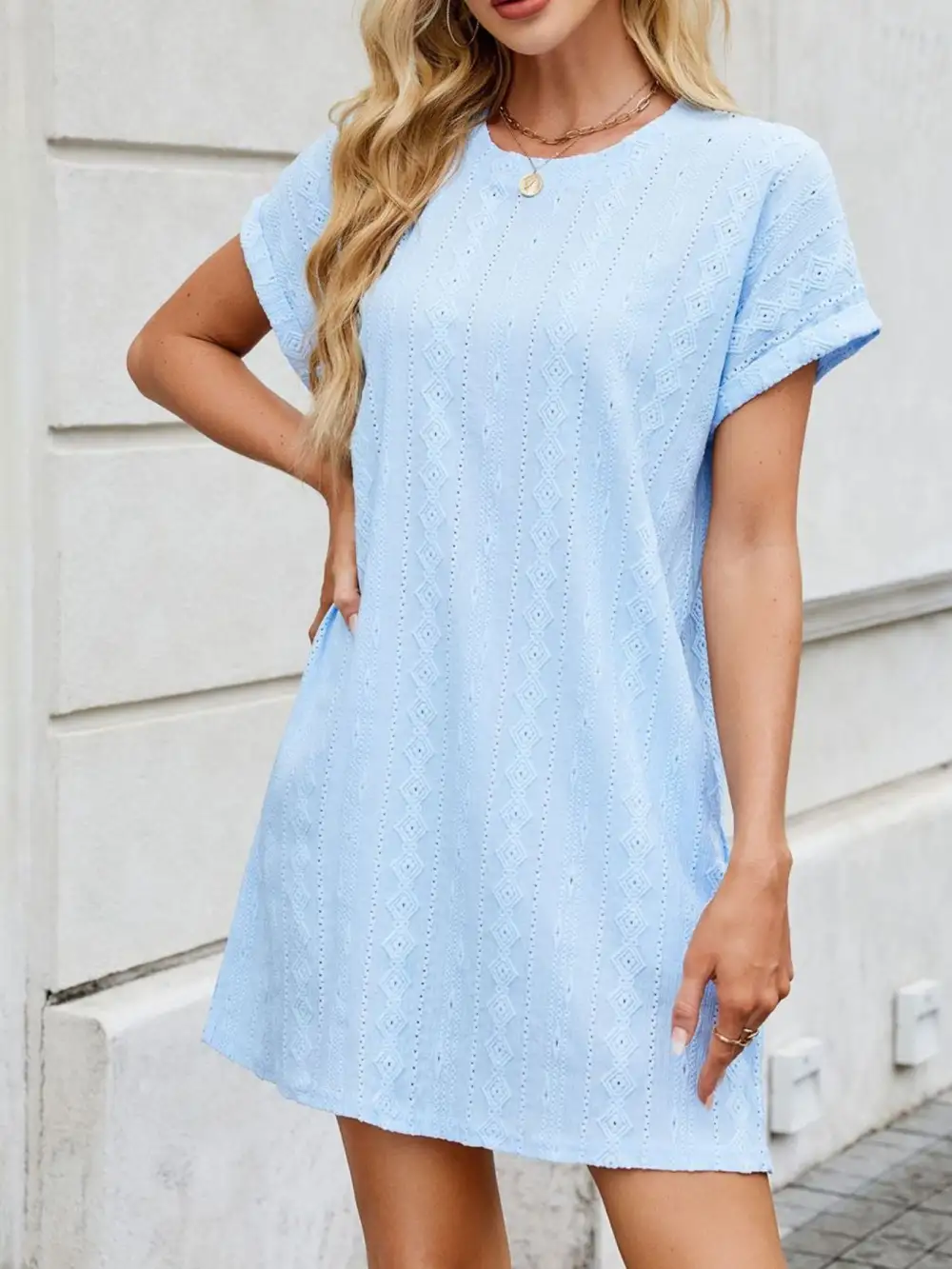 Eyelet Round Neck Mini Dress