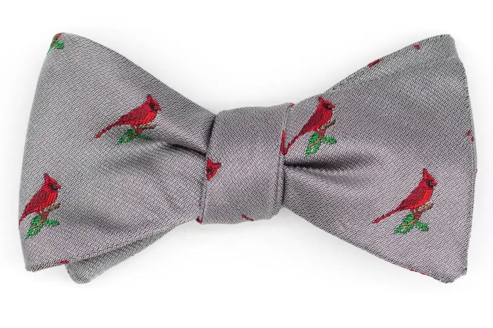 Smart Weekend Silk Bow Tie