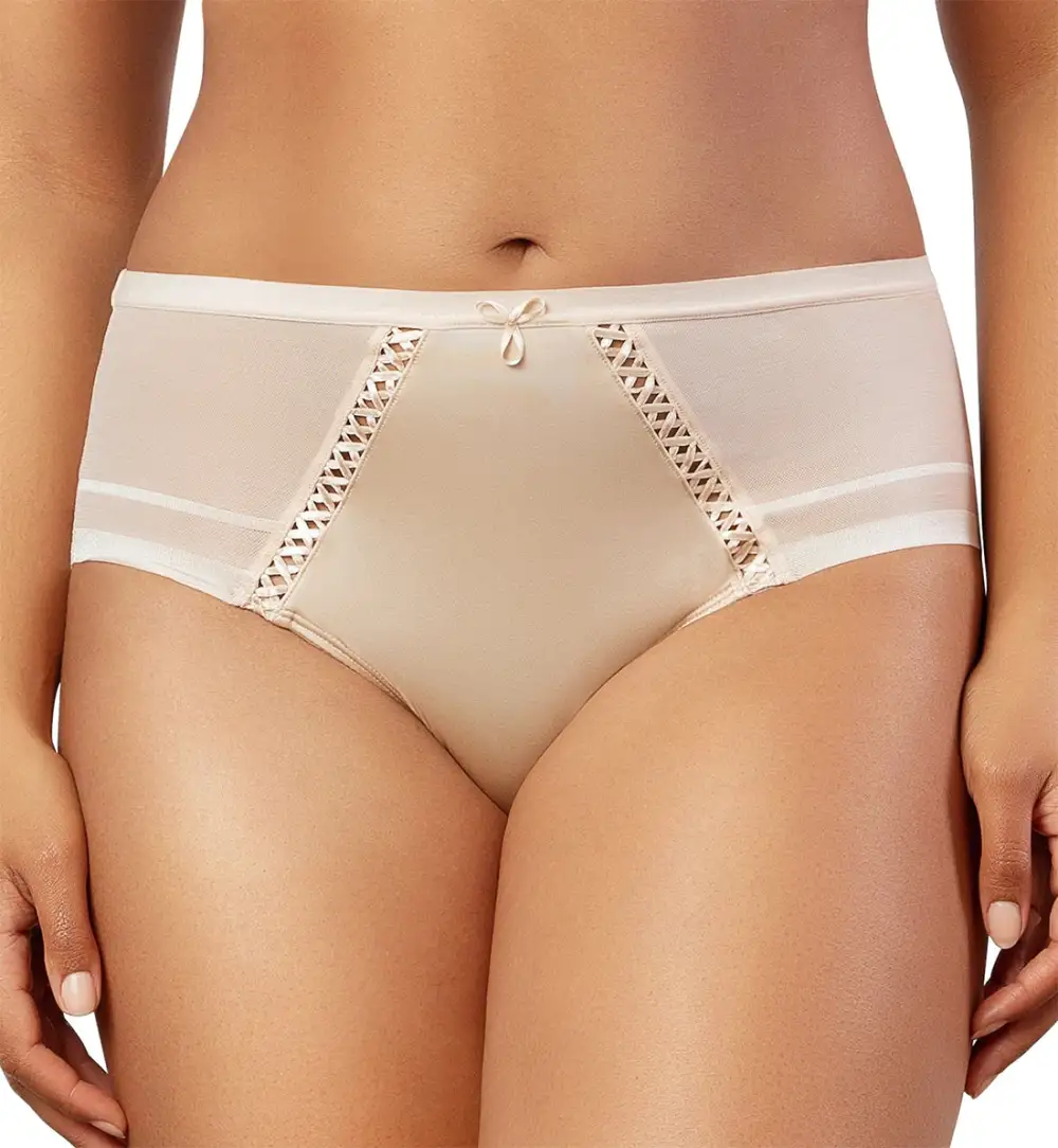 Classic Mid-Rise Mesh Striped Full-Coverage Brief Panty