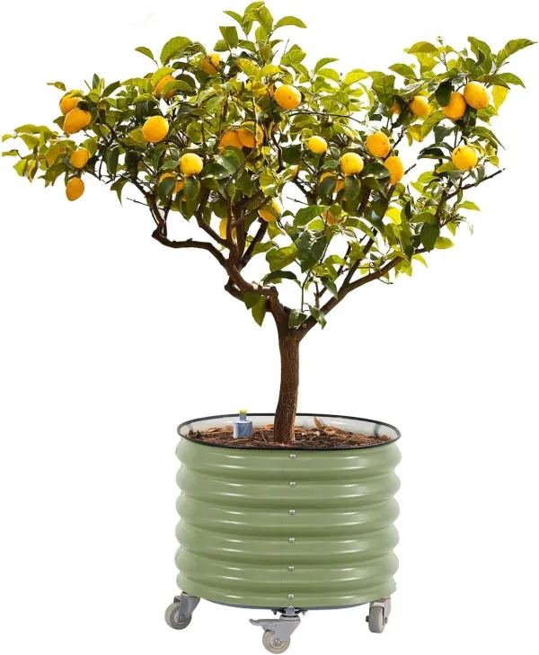 Large Rolling Metal Tree Planter, Self-Watering Vegetable Pot
