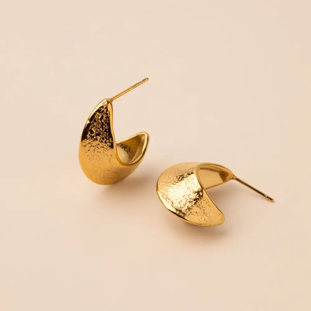 Elegant Jewelry Item Earrings
