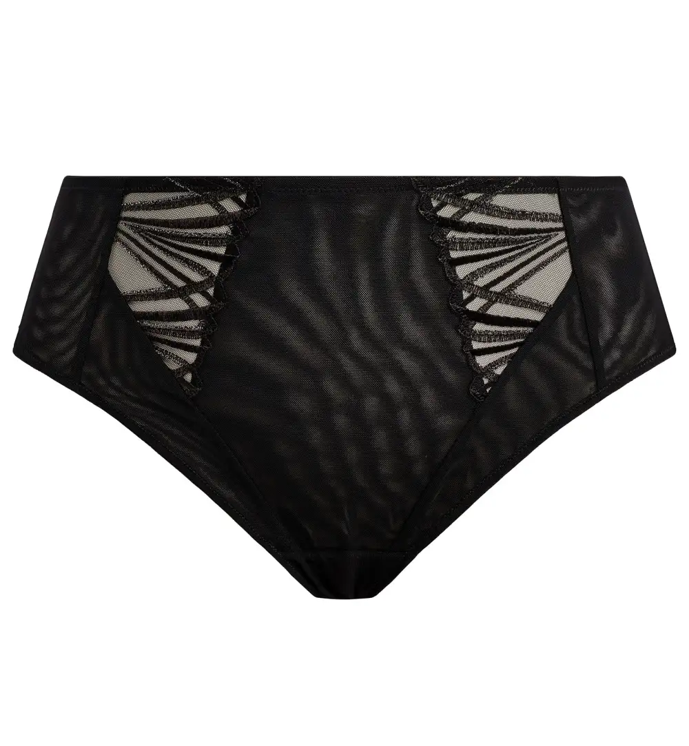 Classic High-Waist Mesh Embroidered Full-Coverage Brief Panty