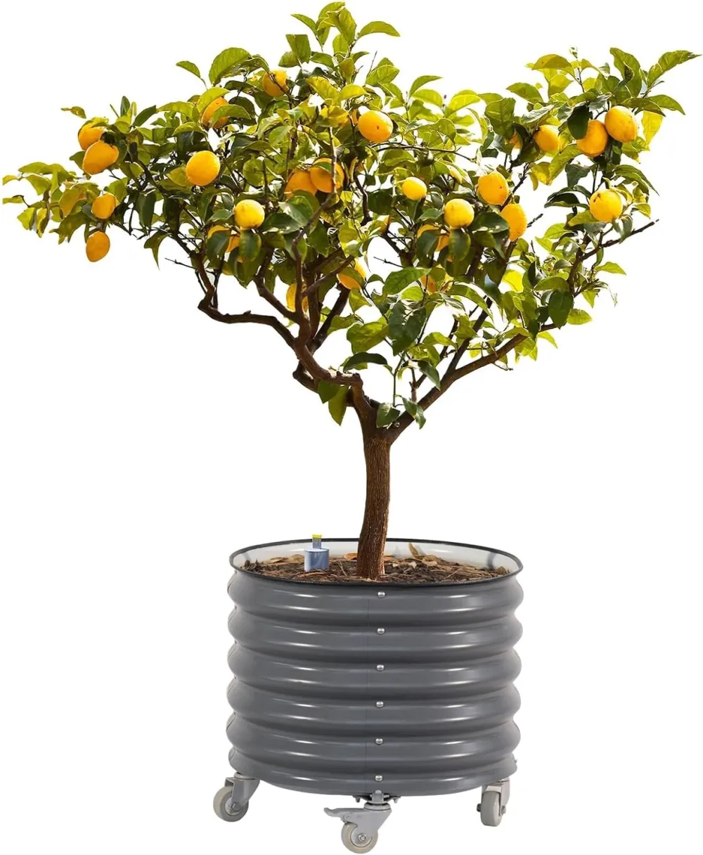 Large Rolling Metal Tree Planter, Self-Watering Vegetable Pot