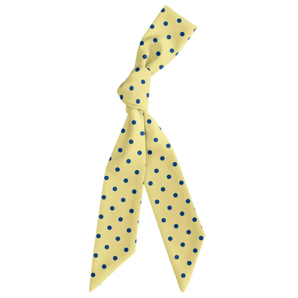 Franklin Dots Pattern Hair Scarf