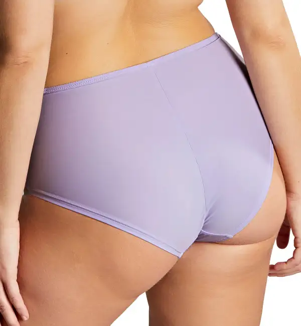 Everyday High-Waist Lace Cotton High-Leg Brief Panty