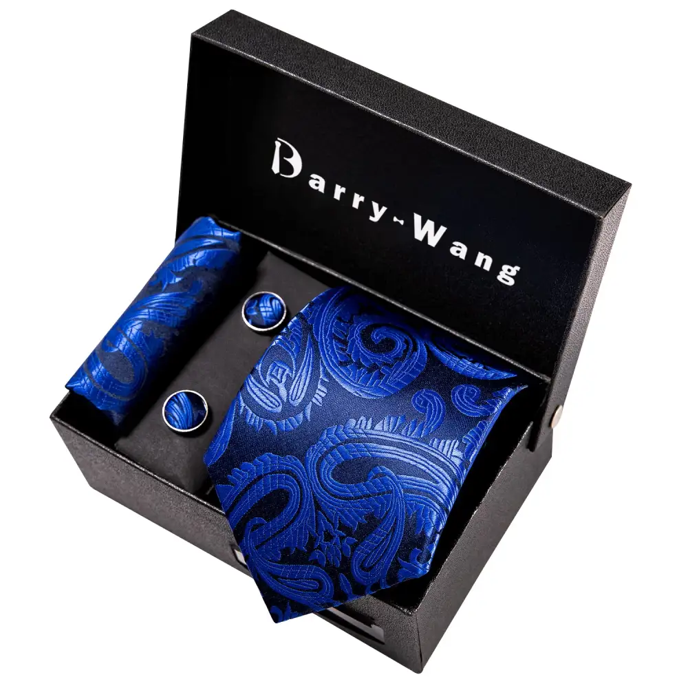 Polished Paisley Necktie Set