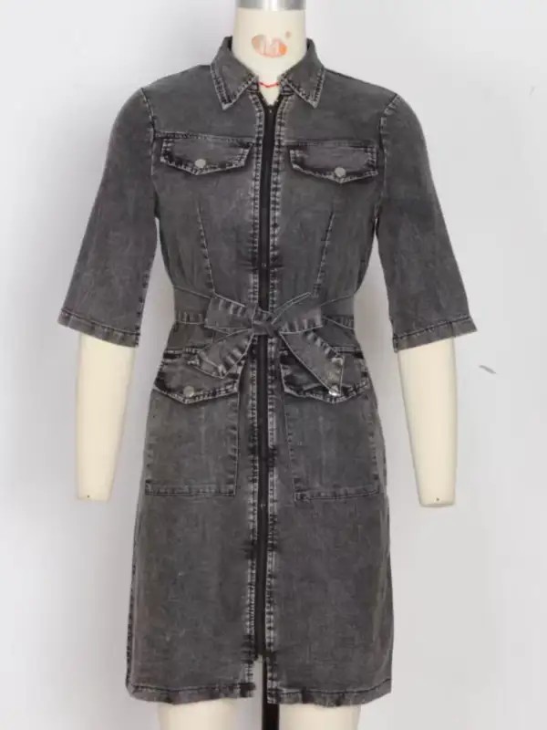 Comfort Fit Denim Zip Front Short Sleeve Dress