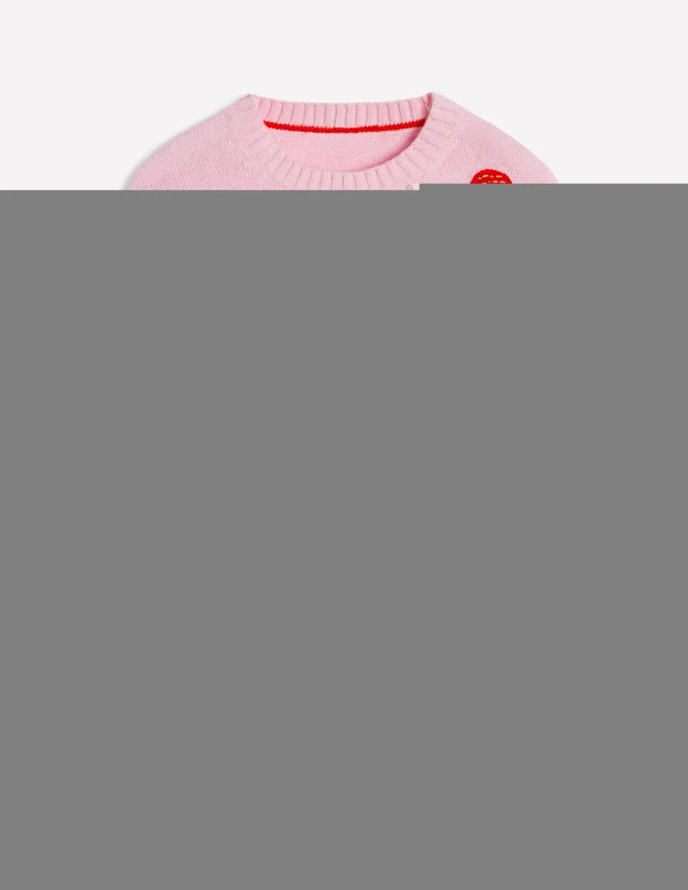 Novelty Embroidered Sweater