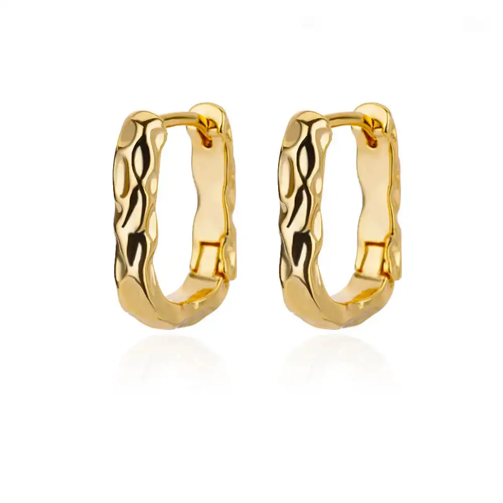 Stainless Steel Hoop Hoop Earrings