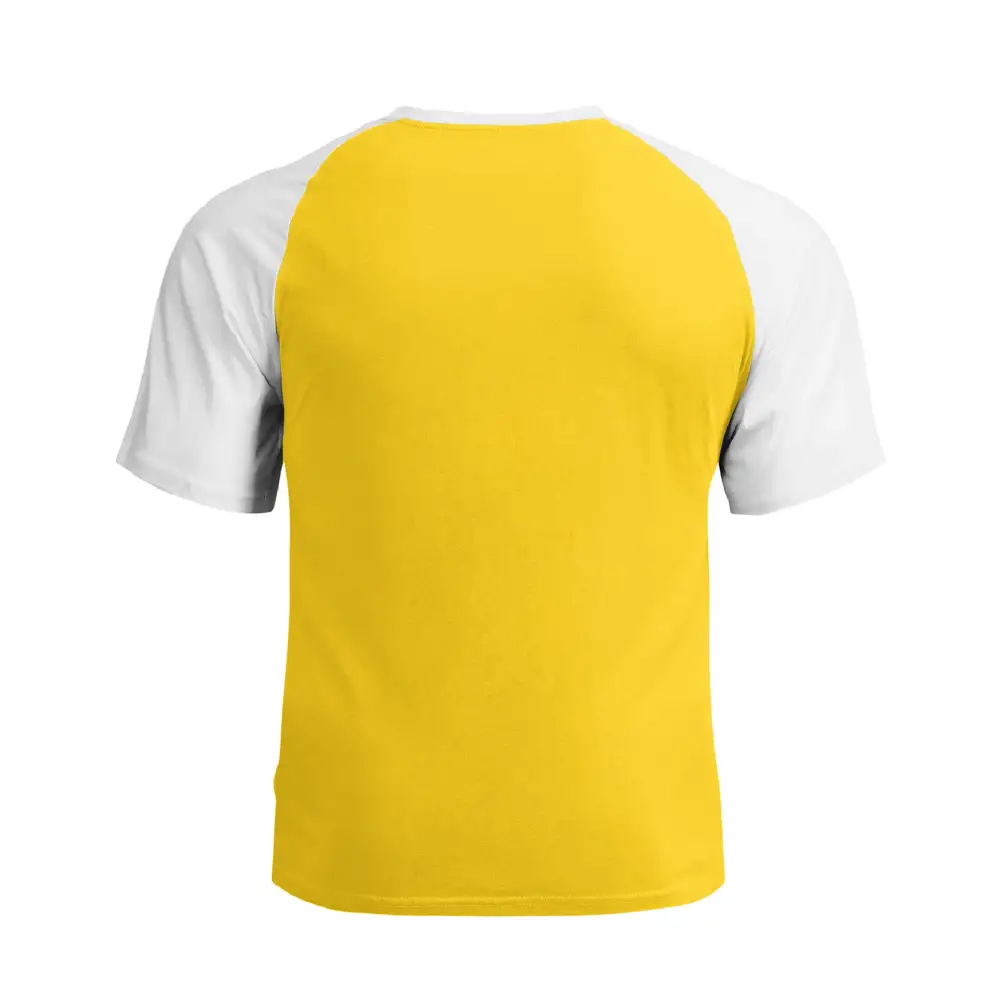 THE POWER OF STUPID PEOPLE RAGLAN GRAPHIC TEE