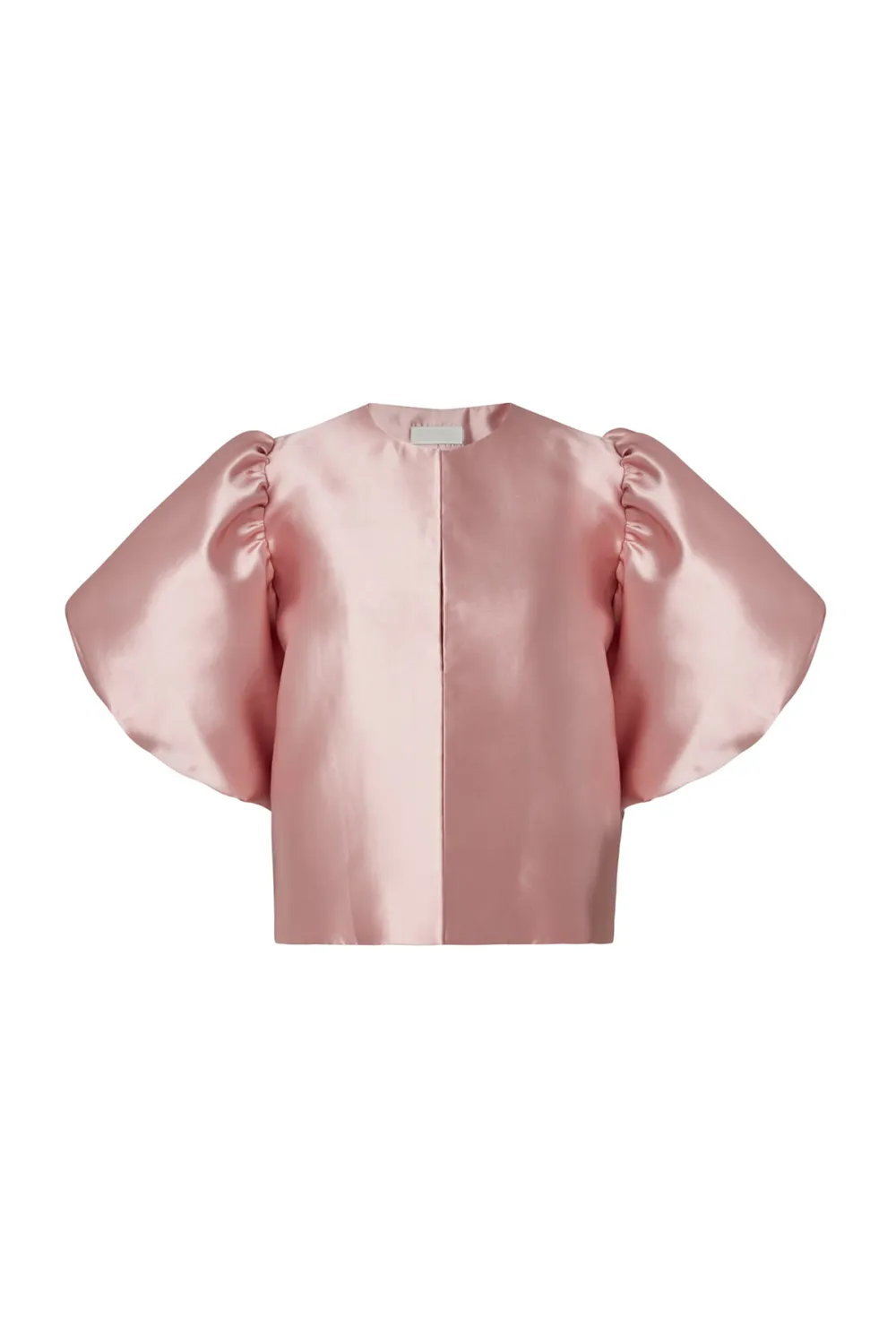 Puff Sleeve Scarf Neck Blouse