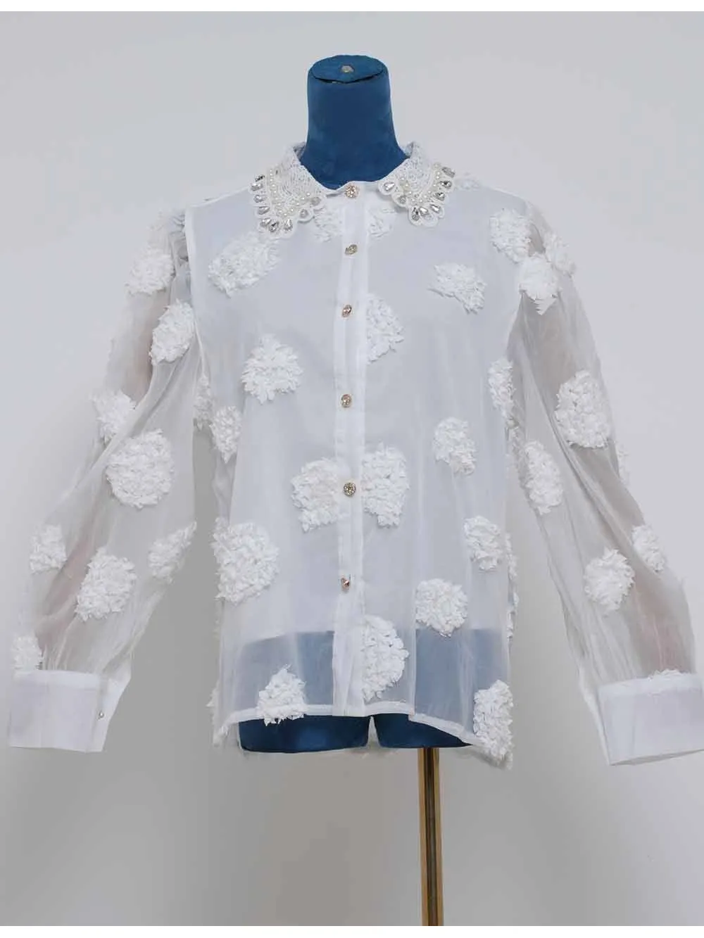 Chic Jacquard Lantern Sleeves Sheer Blouse