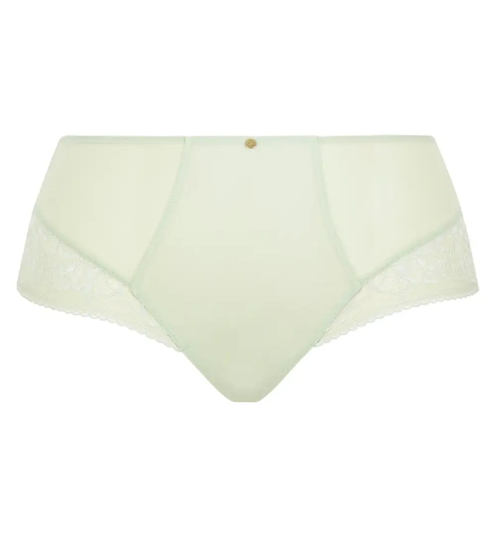 Classic High-Waist Stretch-Lace Mesh Classic Brief Panty