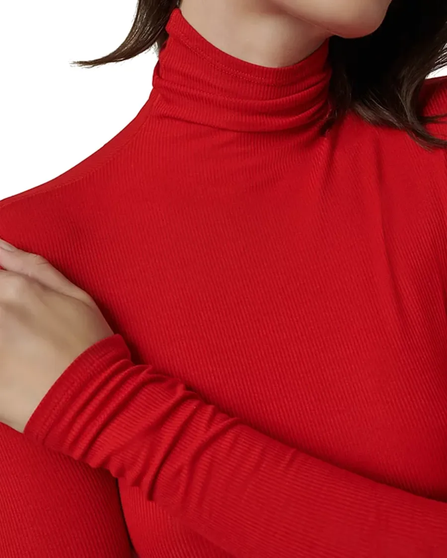 Elegant Style Long Sleeves Turtleneck Top