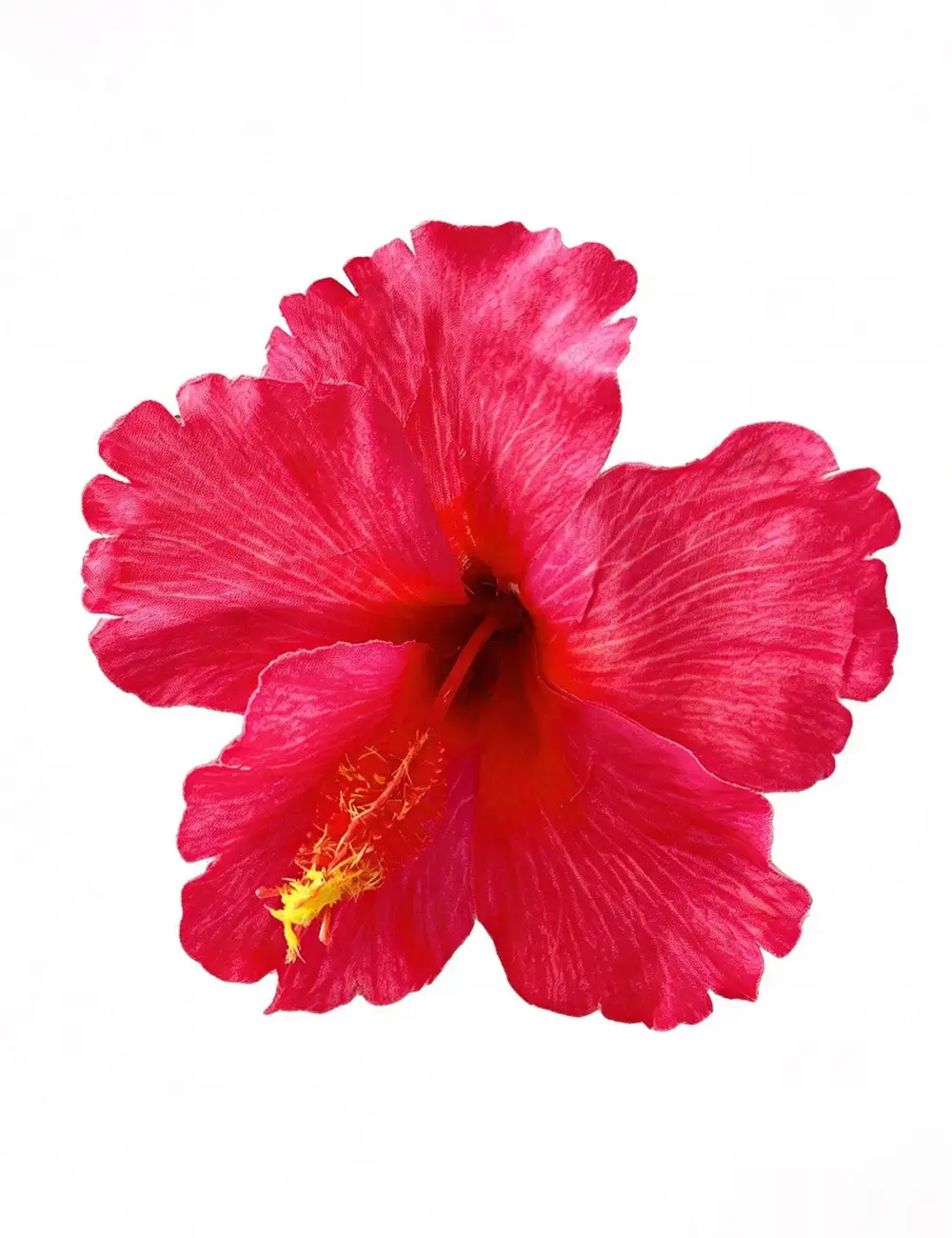 Hibiscus Flower Shape Hair Clip